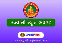 चितवनमा बसले रिक्सा ठक्कर दिँदा चालकको मृत्यु